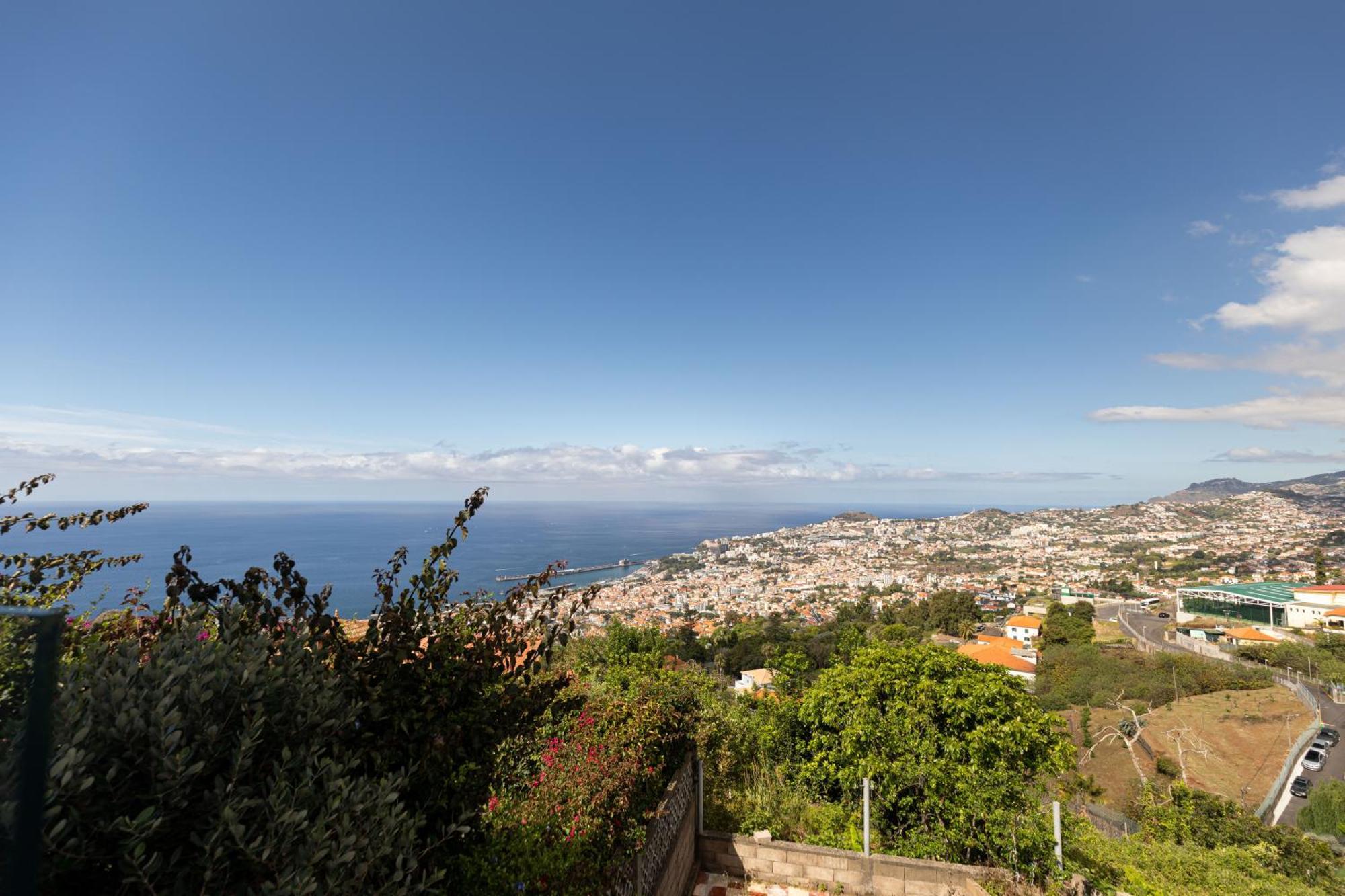 The View Flat